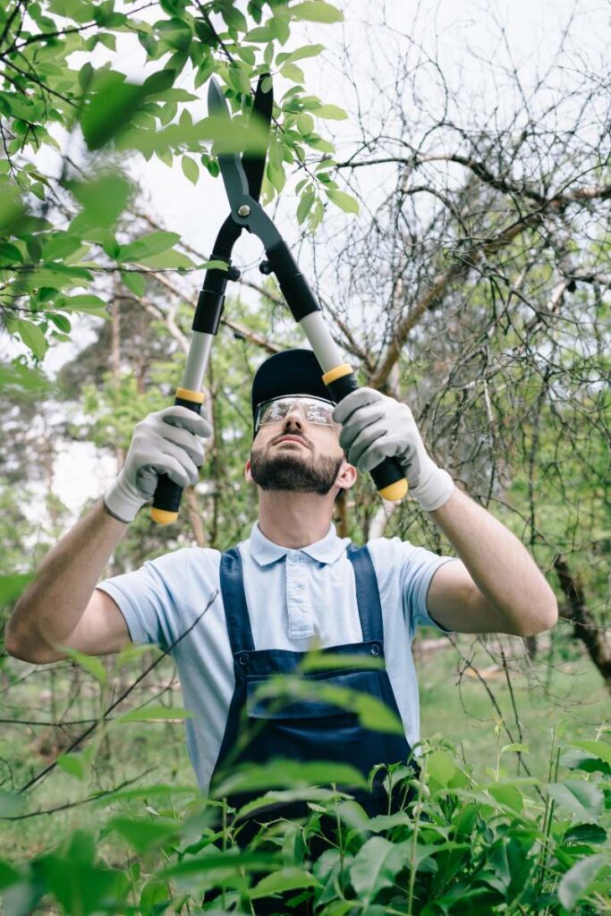 selective focus of attentive gardener in protective glasses and cap cutting bushes with trimmer in